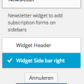 widgetnewsletter.png